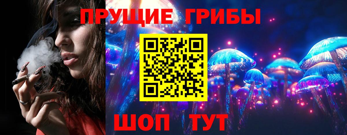 Псилоцибиновые грибы Psilocybine cubensis Киров